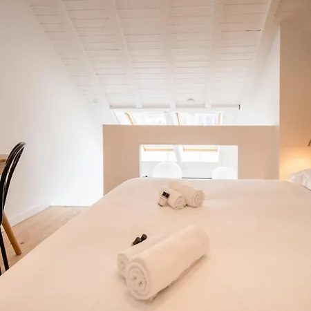 Le Duplex Vaugelas Atypique En Plein Centre