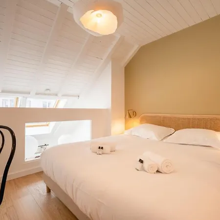 Le Duplex Vaugelas Atypique En Plein Centre *