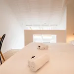 Le Duplex Vaugelas Atypique En Plein Centre