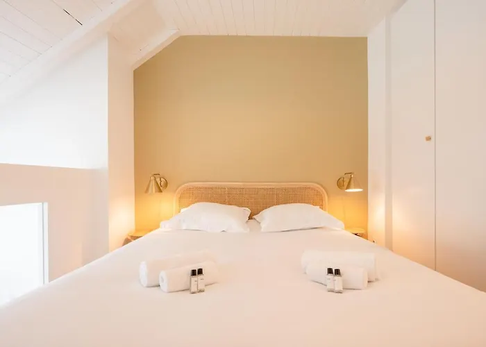 Le Duplex Vaugelas Atypique En Plein Centre Διαμέρισμα