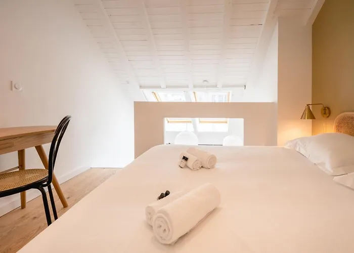 Le Duplex Vaugelas Atypique En Plein Centre