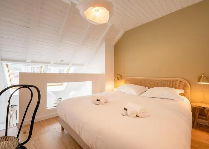 Le Duplex Vaugelas Atypique En Plein Centre *